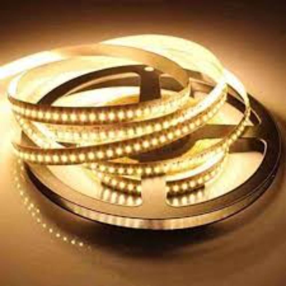 WW Profile and strip lights: Orient 48 W Led Flexible Strip 120L Cw (LED48WST-60K5M120) (Cool Daylight)