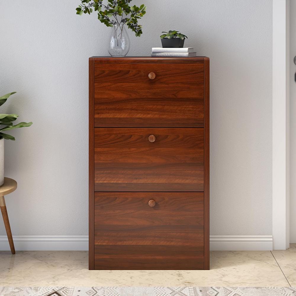 Fernando Brown Engineered Wood Shoe Cabinet (FERNANDO) by Durian
