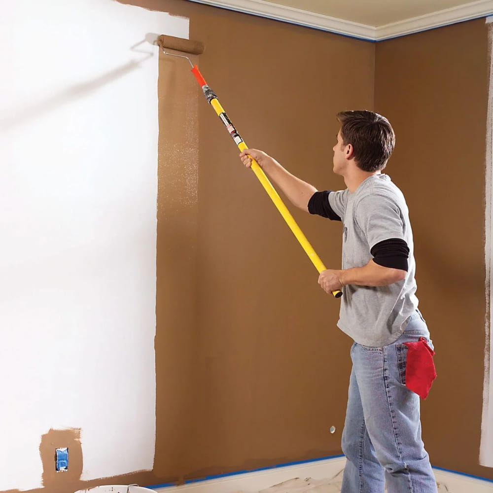 Repainting for Interior Walls / True Ceiling: Rich Matte Finish: 2 coats Paint (Apcolite Premium Emulsion - Asian)