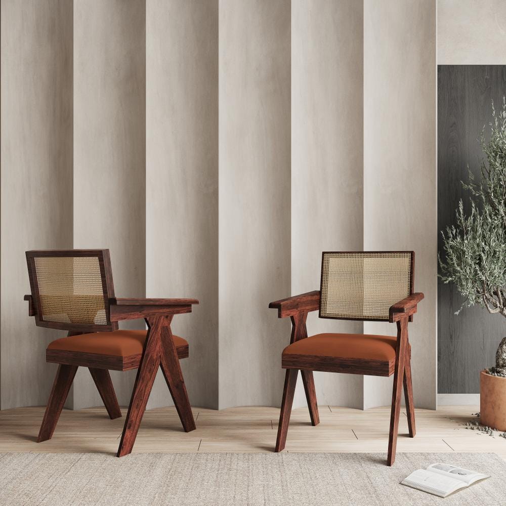 Solveta Cane Sheesham Dining Chair
